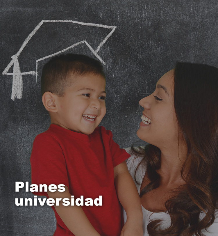 Planes Universidad